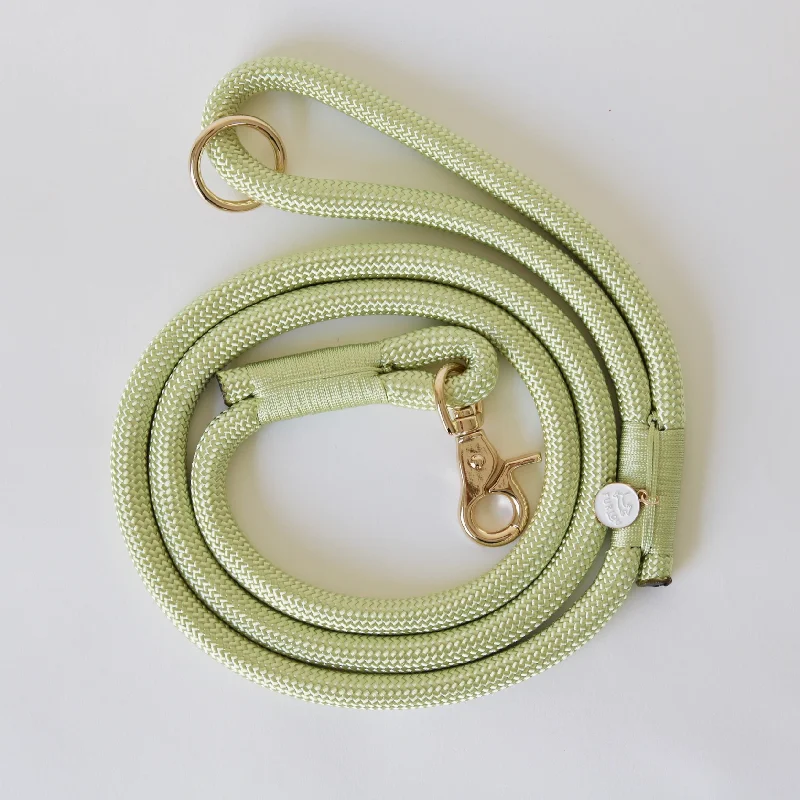 Lime Green