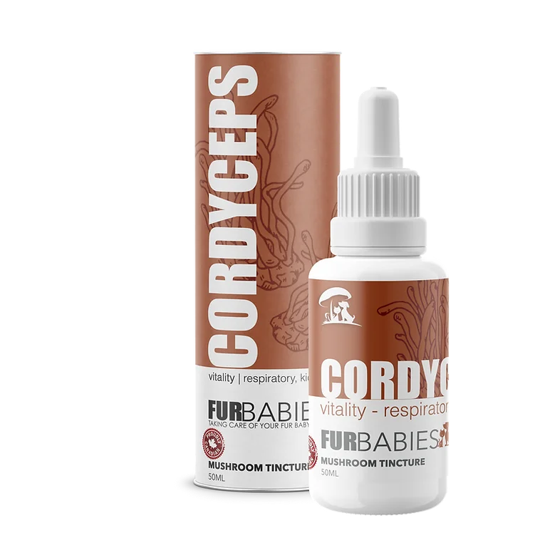 Furbabies - Oral Drops - Cordyceps Mushroom